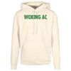 Basic hoodie Thumbnail
