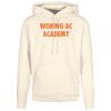 Basic hoodie Thumbnail